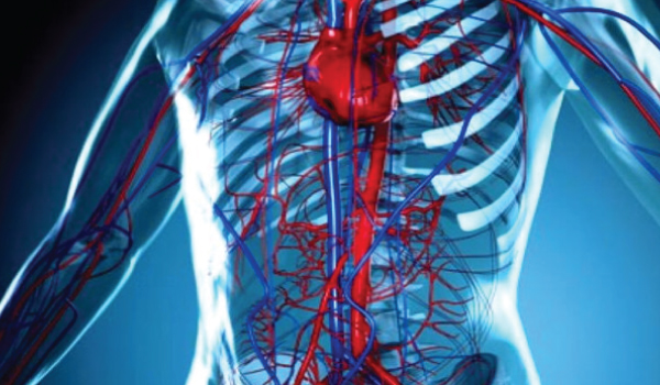 Vascular Surgery Department